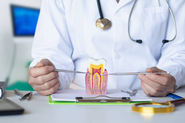 Best After-Hours Emergency Dentist in Brazoria, TX